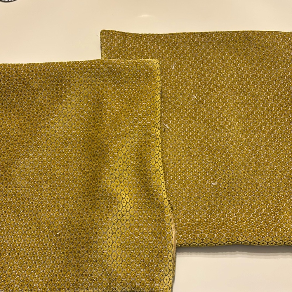 West elm velvet pillows (x2)